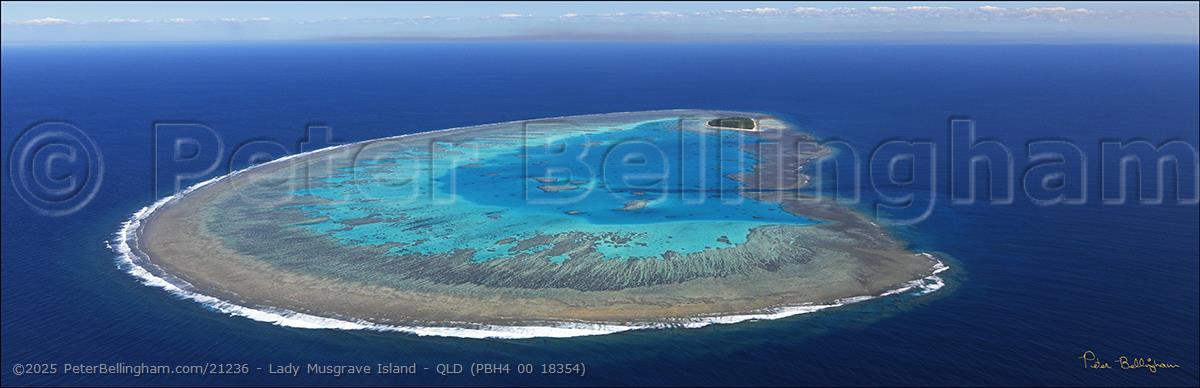 Peter Bellingham Photography Lady Musgrave Island - QLD (PBH4 00 18354)